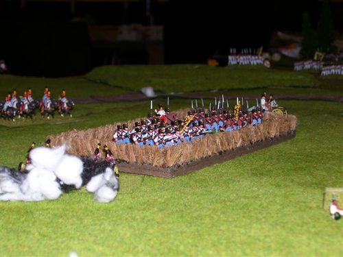 Napoleonic Action