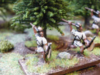 Velites 15mm